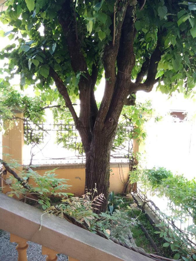 Appartement Tilia à Bologne Extérieur photo
